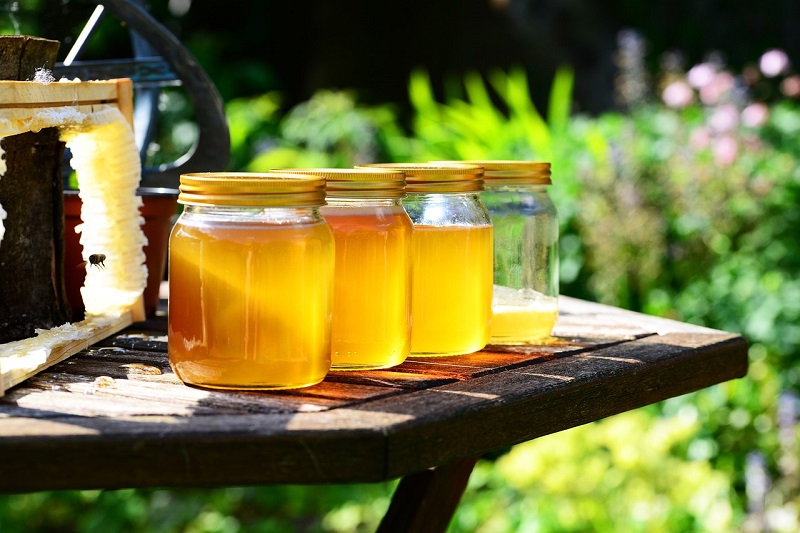 Pridelava medu vključuje odvzemanje satov iz panja