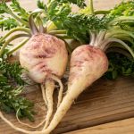 bio maca